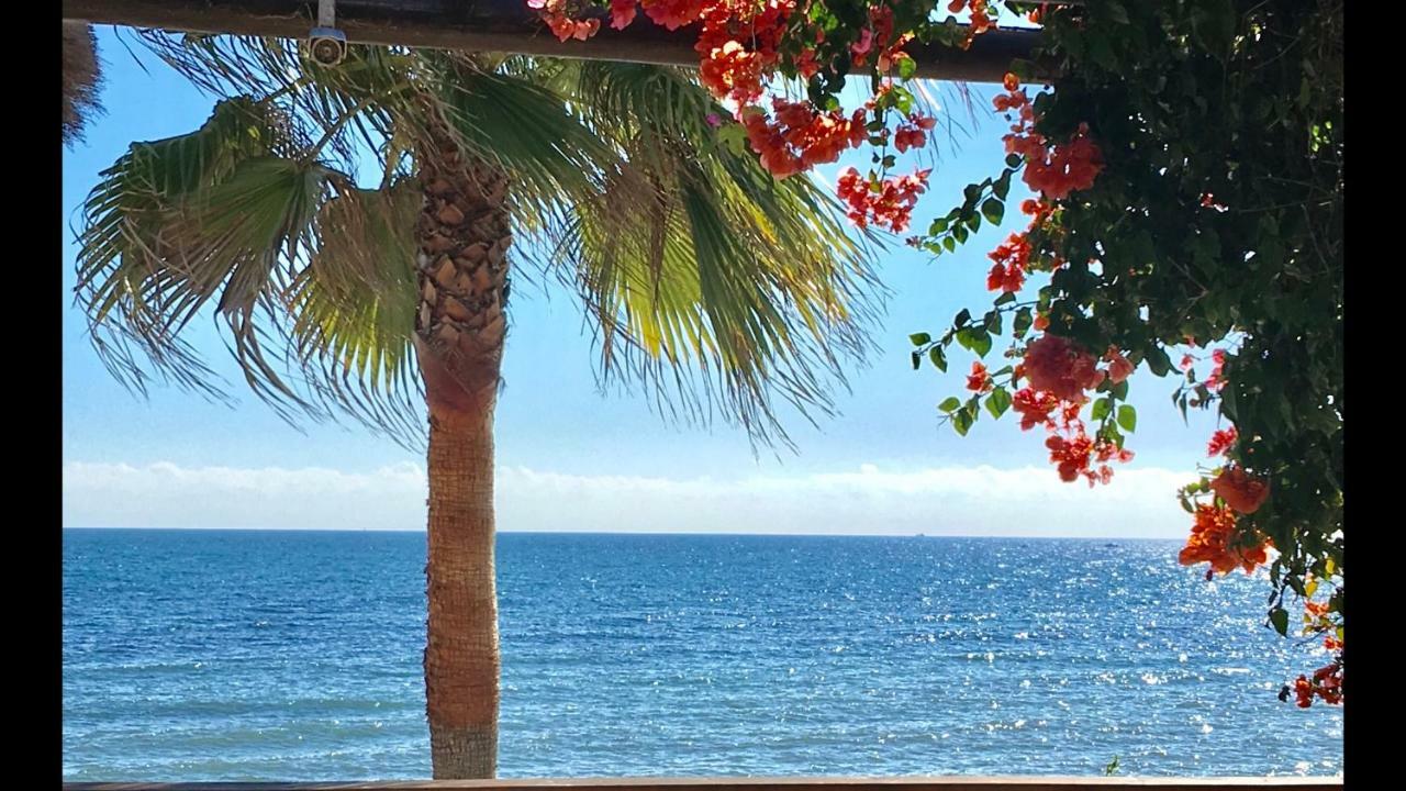 Mi Capricho Beachfront- 9E Apartment With Sea Views - Costa Del Sol Sitio de Calahonda Bagian luar foto